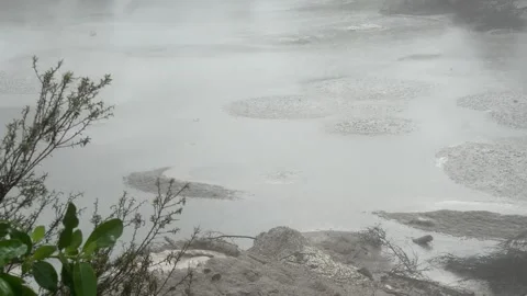 Geothermal bubbling mud pool, Rotorua, New Zealand Stock Footage 320661268