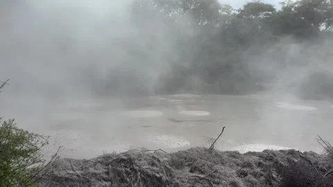 Geothermal bubbling mud pool, Rotorua, New Zealand Stock Footage 320661363