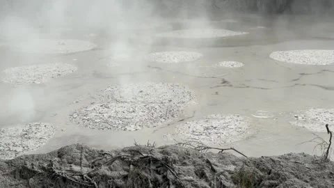 Geothermal bubbling mud pool, Rotorua, New Zealand Stock Footage 320661417