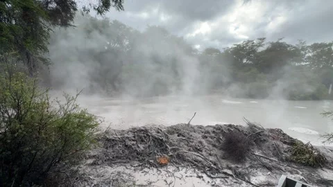 Geothermal bubbling mud pool, Rotorua, New Zealand Stock Footage 320661424