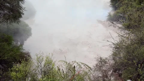 Geothermal bubbling mud pool, Rotorua, New Zealand Stock Footage 320661635