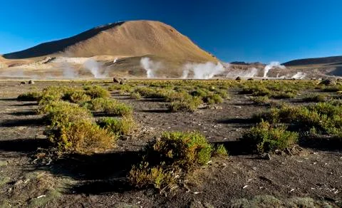 Geothermal field Stock Photos