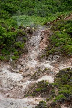 Geothermal fumaroles vent steam along a rocky hillside Stock Photos