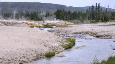 Geothermal Geyser Video stock 11702000