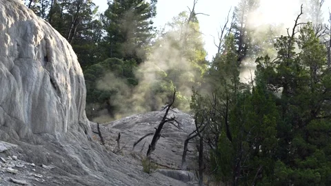 Geothermal hot spring oozes water from a travertine formation Stock Footage 301630737