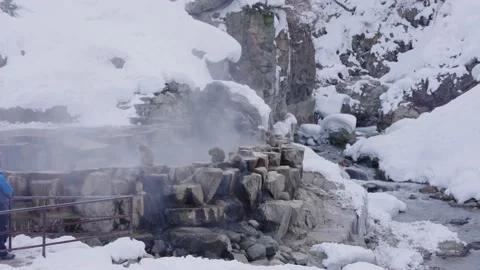 Geothermal Hot Spring Pool, Monkeys Bathing in Jigokudani Stock Footage 171042629