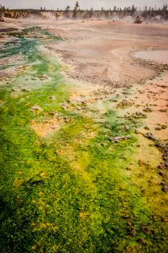 Geothermal Lake Stock Photos