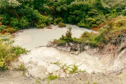 Geothermal Mud Pool Surrounded Lush Vegetation Fotos Stock
