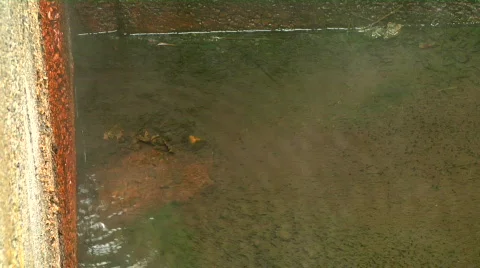 Geothermal Steam 스톡 동영상 331625