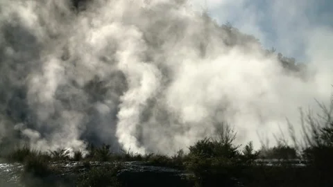 Geothermal Steam rises rapidly in front of treeline Stock Footage 130228616