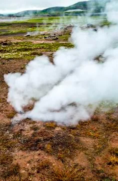 Geothermal vent spewing steam Stock Photos
