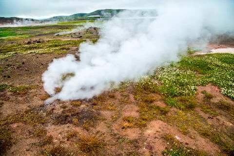 Geothermal vent spewing steam Stock Photos