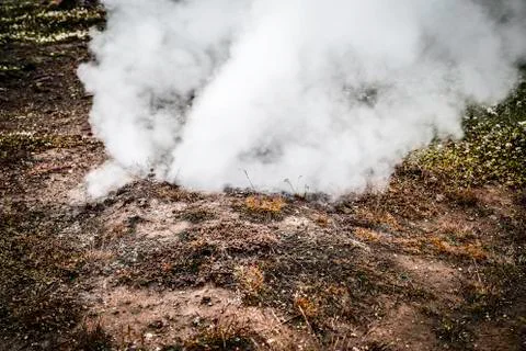 Geothermal vent spewing steam Stock Photos
