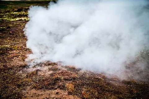 Geothermal vent spewing steam Stock Photos
