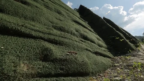 Geoweb Stock Footage