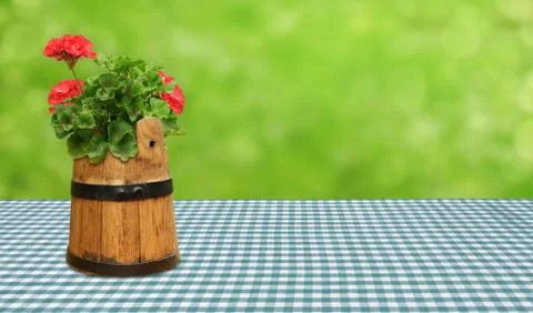 Geranium background beer garden table blue summer Stock Photos