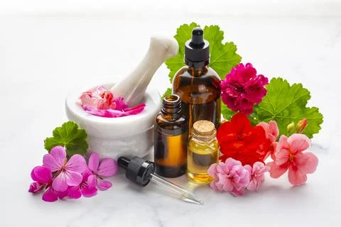 Geranium flower and geranium essential oil Stock Photos