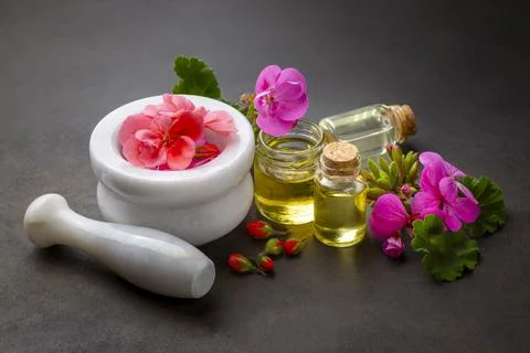 Geranium flower and geranium essential oil Stock Photos