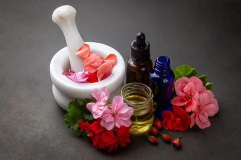 Geranium flower and geranium essential oil Stock Photos
