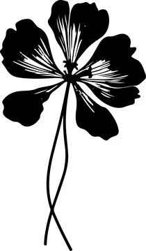 Geranium Flower Silhouette Vector Illustration White Background Stock Illustration