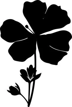 Geranium Flower Silhouette Vector Illustration White Background Stock Illustration
