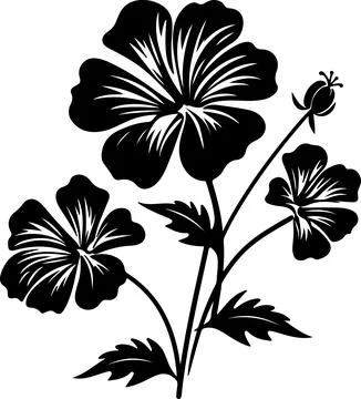 Geranium Flower Silhouette Vector Illustration White Background Illustrazione stock
