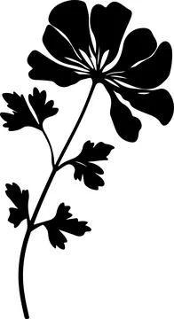 Geranium Flower Silhouette Vector Illustration White Background Stock Illustration