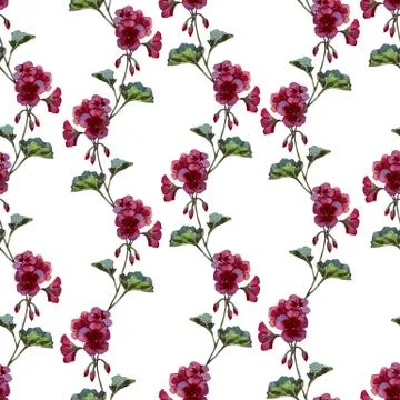 Geranium pattern Stock Illustration