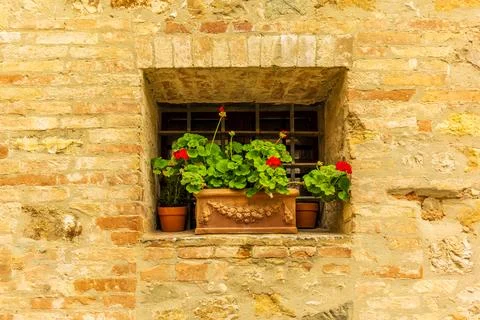 A geranium pot on a small window in San Quirico d'Orcia in a sunny spring day Stock Photos