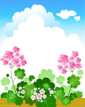 Geranium summer background Illustrazione stock