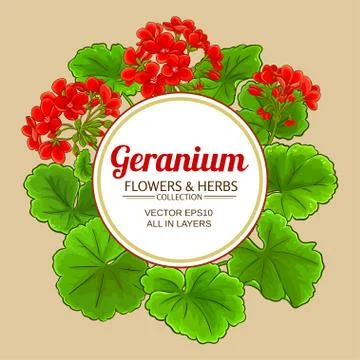 Geranium vector frame Stock Illustration