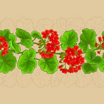 Geranium vector pattern Stock Illustration
