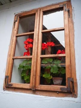 Geraniums in the window Stock Photos