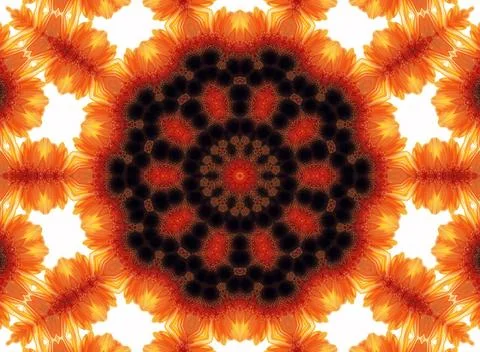Gerber flower abstract pattern Abstract nature pattern with flower of Gerb... 库存照片