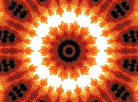 Gerber flower abstract pattern Stock Illustration