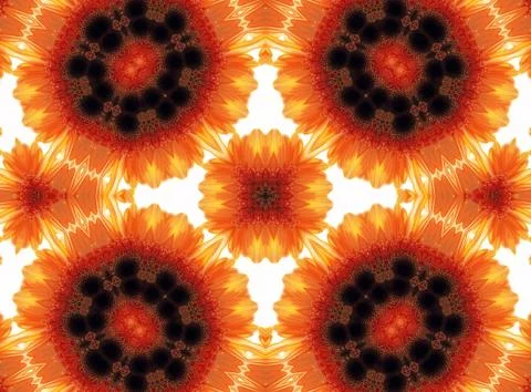 Gerber flower abstract pattern Stock Illustration