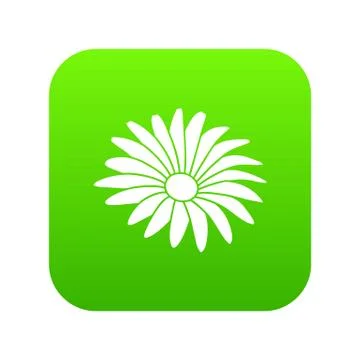 Gerber flower icon green vector Stock Illustration