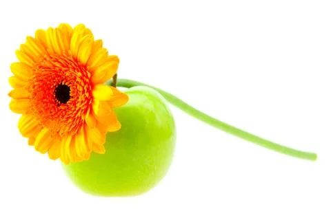 Gerbera and apple isolated on white Stock Photos