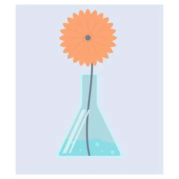 Gerbera in a chemical conical flask in vector Stock Illustration