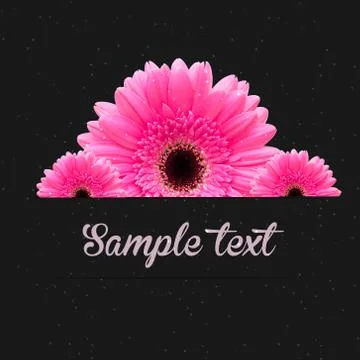 Gerbera flower background イラスト素材