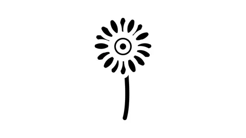 Gerbera flower glyph icon animation Stock Footage 227276449