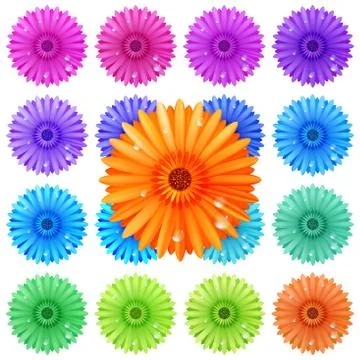 Gerbera flower set isolated on white. plus EPS10 Stock Illustration