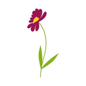 Gerbera flower, Spring plant. Vector illustration flat cartoon style. Chamomiles Stock Illustration