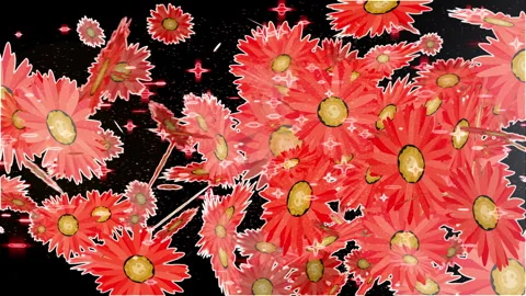 Gerbera flower transition 3 clips - 4k Stock Footage 258938623