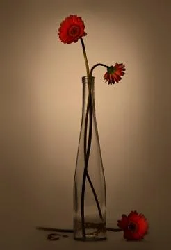 Gerbera in a glass vase (retro style) II. 스톡 사진