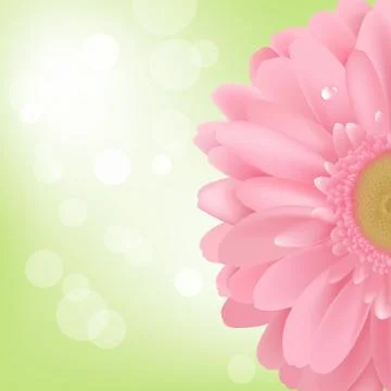Gerbera Stock Illustration