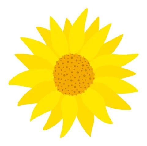 Gerbera single yellow flower vector illustration Stock Illustration