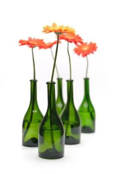 Gerberas Stock Photos