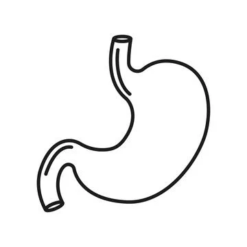 Gerd stomach icon in outline flat style. Reflux vector illustration on isol.. Stock Illustration