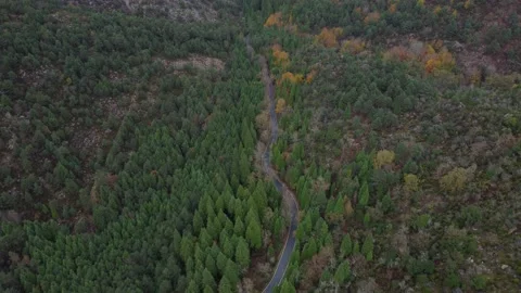 Geres Video stock 228321343